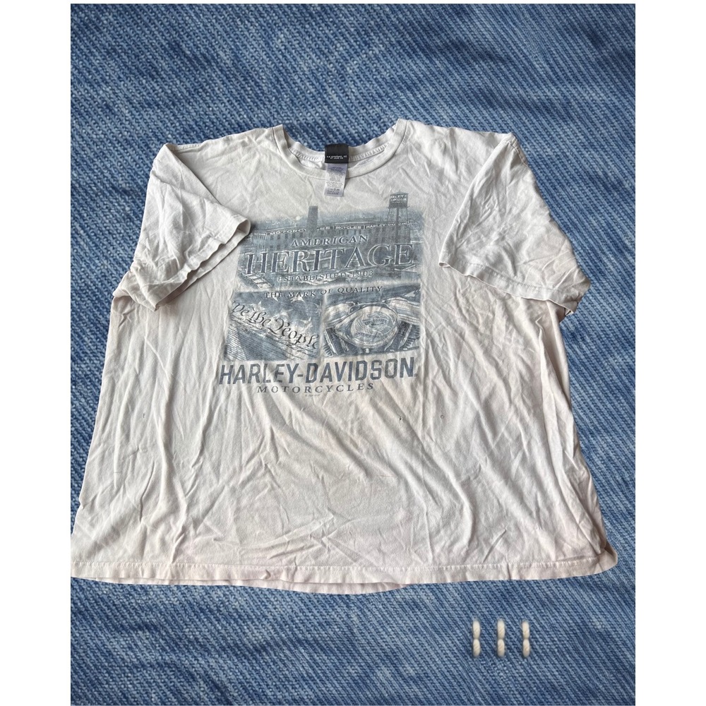 Harley Davidson Hells Canyon Idaho T-Shirt Mens 4XL Biker